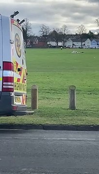 Bomb squad officers destroy explosives at busy Northampton park