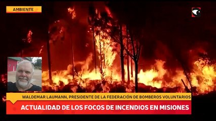 Actualidad de los focos de incendios en Misiones
