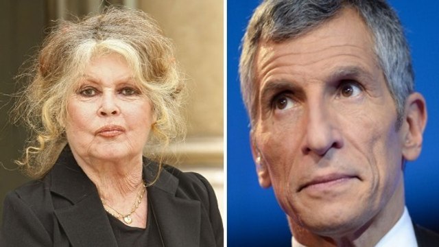 Nagui répond aux critiques de Brigitte Bardot et la tacle sévèrement !