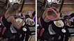 Australie : une femme dépose des cheveux dans son plat de pâtes pour ne pas payer son repas...