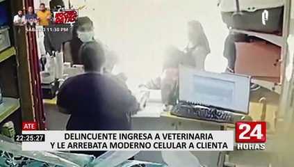 San Borja: delincuentes asaltan a joven que se encontraba en veterinaria