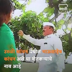 Watch: Pune Farmer Converts House Terrace Into Grapes Farm