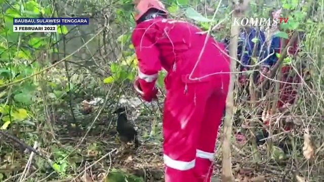 4 Hari Terikat, Anjing Hitam Ini Akhirnya Berhasil Diselamatkan