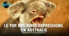 Australie : top des pires expressions sur l'île des koalas et des kangourous