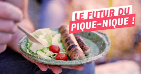 Des assiettes biodégradables en feuille d'arbre !
