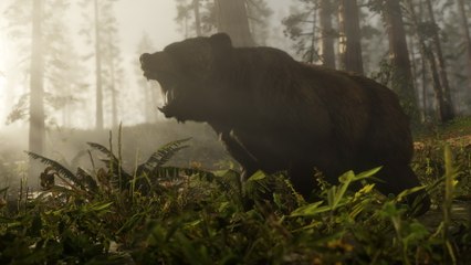 Red Dead Redemption 2 : attention aux ours si vous ne voulez pas revivre la fameuse scène du film The Revenant