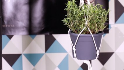 Créez facilement une suspension pour plante super tendance !