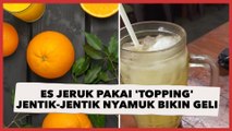 Geger Es Jeruk Pakai 'Topping' Jentik-jentik Nyamuk Bikin Geli Publik: Dunia Makanan Indonesia Lagi Kenapa Sih?