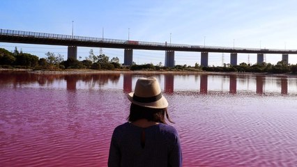 Australie : le lac du Westgate Park à Melbourne est subitement devenu rose  !