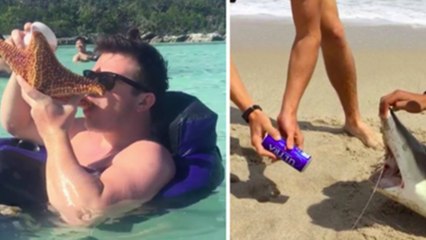 Le scandale des étudiants qui utilisent des animaux marins pour boire et faire la fête