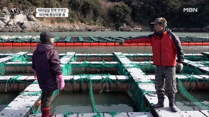 부부 사이를 갈라놓은 킹전복!? 불붙은 논쟁의 승자는?