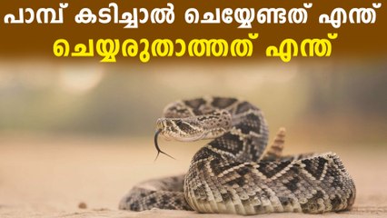 പാമ്പ് കടിച്ചാൽ കിടന്ന് വെപ്രാളപ്പെടരുത്..ചെയ്യേണ്ടത് ഇതൊക്കെ
