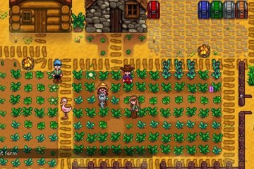 Stardew Valley Battle Royale : comment transfomer un grand vin en vinaigre