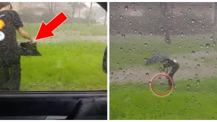 Prise au piège par la montée des eaux, une chatte manque de se noyer en pleine inondation