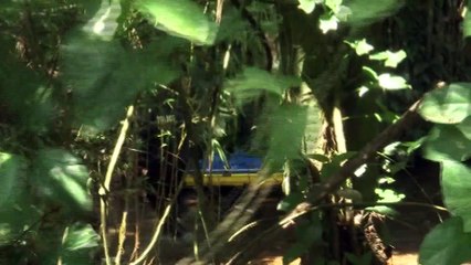 OVER 1500 REPORTED MISSING FROM 2020 – 2022