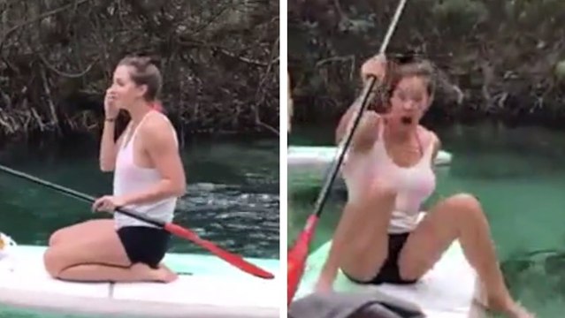 Amérique du Nord : elle saute de son paddle à cause d'un raton laveur !