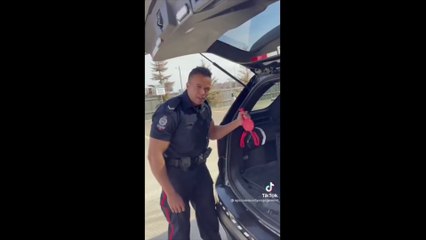 ( 176 ) famous police officers from tiktok  tiktok police offciers  cchellenge