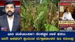 ಭಾರಿ ಮಳೆಯಿಂದಾಗಿ ದೊಡ್ಡಬಳ್ಳಾಪುರದಲ್ಲಿ ನೆಲಕಚ್ಚಿದ ಬಾಳೆ ಫಸಲು |P N Raveendra Bangalore Rural DC|TV5 Kannada