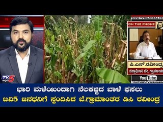 ಭಾರಿ ಮಳೆಯಿಂದಾಗಿ ದೊಡ್ಡಬಳ್ಳಾಪುರದಲ್ಲಿ ನೆಲಕಚ್ಚಿದ ಬಾಳೆ ಫಸಲು |P N Raveendra Bangalore Rural DC|TV5 Kannada