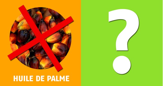 Le substipalm, une huile pour remplacer l'huile de palme ?