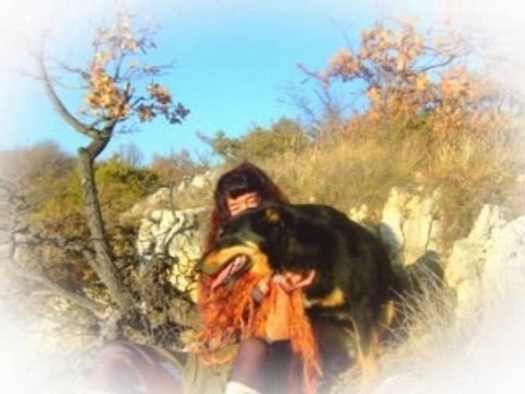 OSMOSE Yoko Lévrier Irlandais Hella Chrys