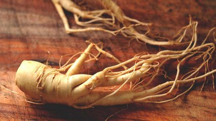 Ginseng : prix, effets secondaires, où en trouver ?
