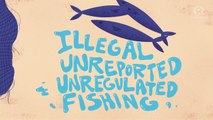 IN NUMBERS: Illegal, unreported, and unregulated fishing in the Philippines