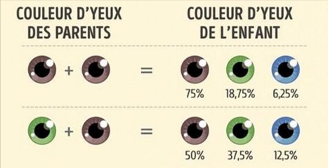 Découvre à quoi ressemblera ton enfant grâce aux schémas génétiques de ton couple