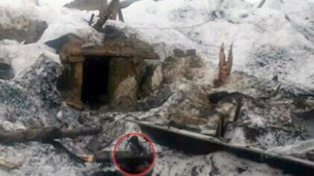 Un chien survit après avoir passé 44 jours sous une avalanche