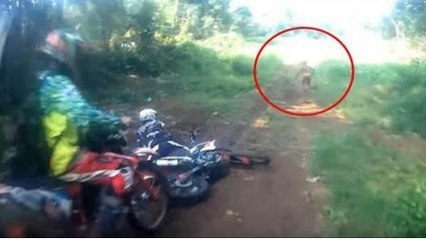 Un pilote de motocross se fait frapper en pleine balade par un étrange être humain...