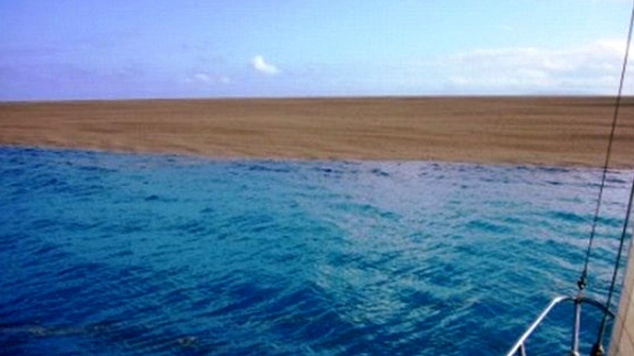 Îles Tonga : l'éruption d'un volcan sous-marin crée la naissance d'une île en plein Océan Pacifique