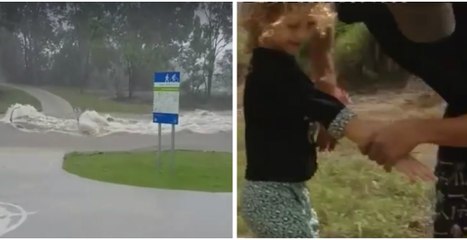 Un requin retrouvé en pleine rue après le passage d'un cyclone en Australie