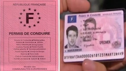Voilà pourquoi les permis de conduire sont toujours de couleur rose !