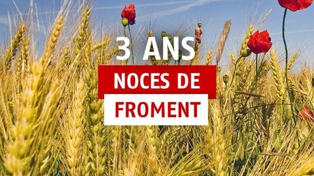 3 ans de mariage : idées cadeaux pour fêter les noces de froment