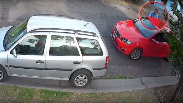 Ignorant qu'il est filmé, cet homme arrête sa voiture pour abandonner son chien en l'attachant à un arbre