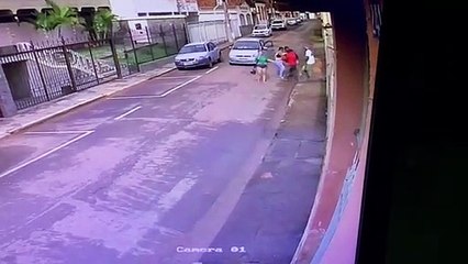 Pitbull ataca criança em Três Pontas