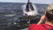 New York : Il prend une baleine en photo mais ne s'attend pas à ce qu'elle soit si proche du bateau...