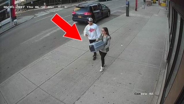 Une caméra filme un couple en train d'abandonner ses 2 chats dans la rue