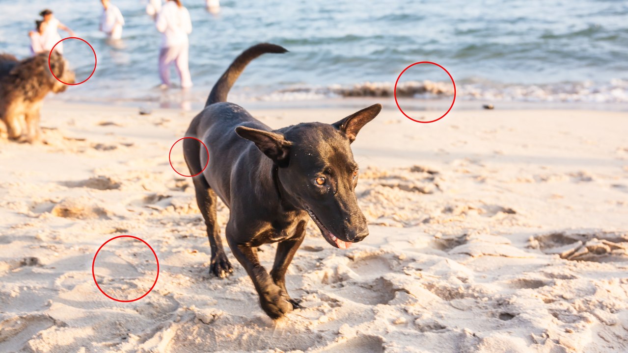 Vacances à la mer : attention aux dangers de la...