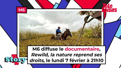 Rewild, la nature reprend ses droits : ce qu'il faut savoir sur le documentaire de M6