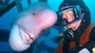 Les 25 ans d'amitié entre le plongeur japonais Hiroyuki Arakawa et un poisson local