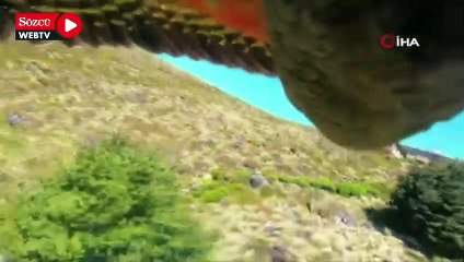 Papağan çaldığı kamera ile uçuşunu filme aldı