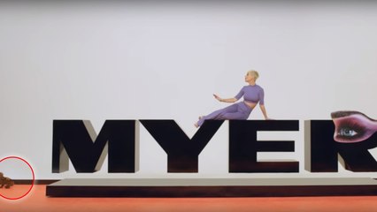 Katy Perry : la chanteuse envoie son chien chasser le koala et se retrouve au coeur du scandale