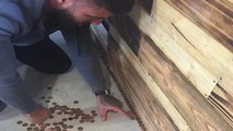 Deco : cet homme assemble 70.000 pièces sur le sol de son salon de coiffure