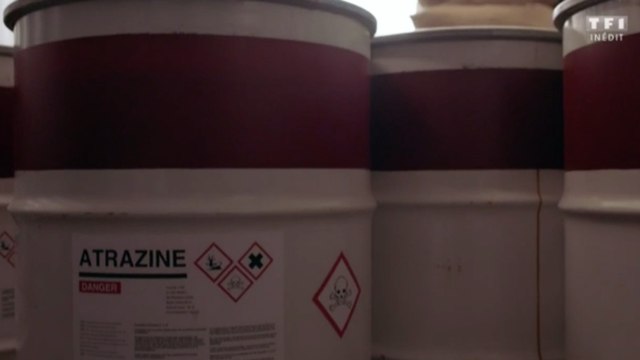 Demain nous appartient épisode 35 : résumé et replay du 1er septembre