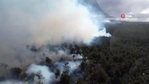Şili'deki orman yangınında bin 235 hektarlık alan kül oldu