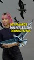 Los pájaros no son reales, son drones espías