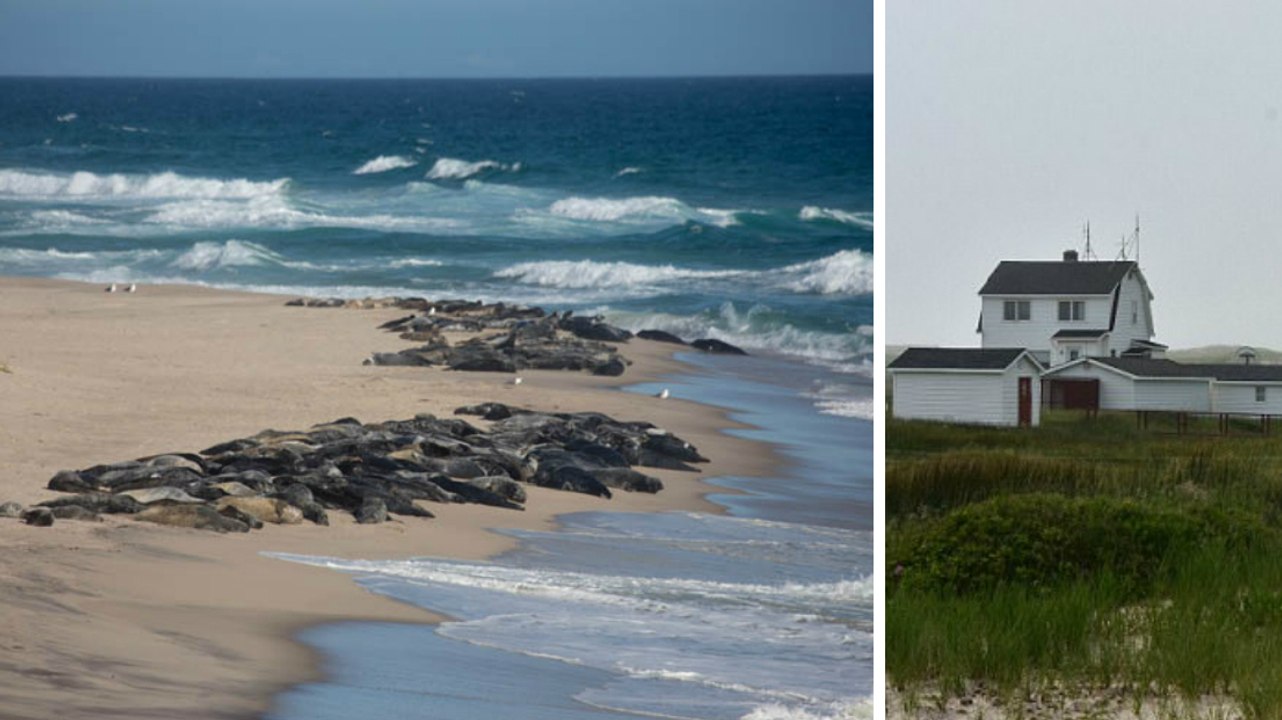 Sable Island : Zoe Lucas a vécu 40 ans sur cette île... seule !