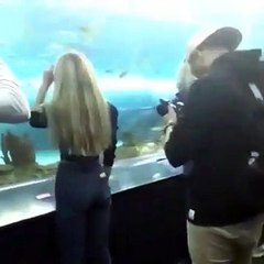 Quand une influenceuse va à l'aquarium... La honte