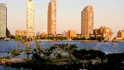 U Thant Island, une petite île de New York interdite au public